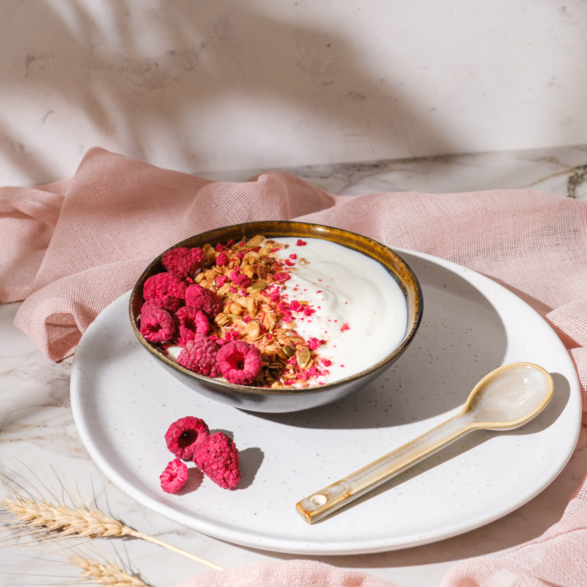 Raspberry Organic Powder (3 Pack)