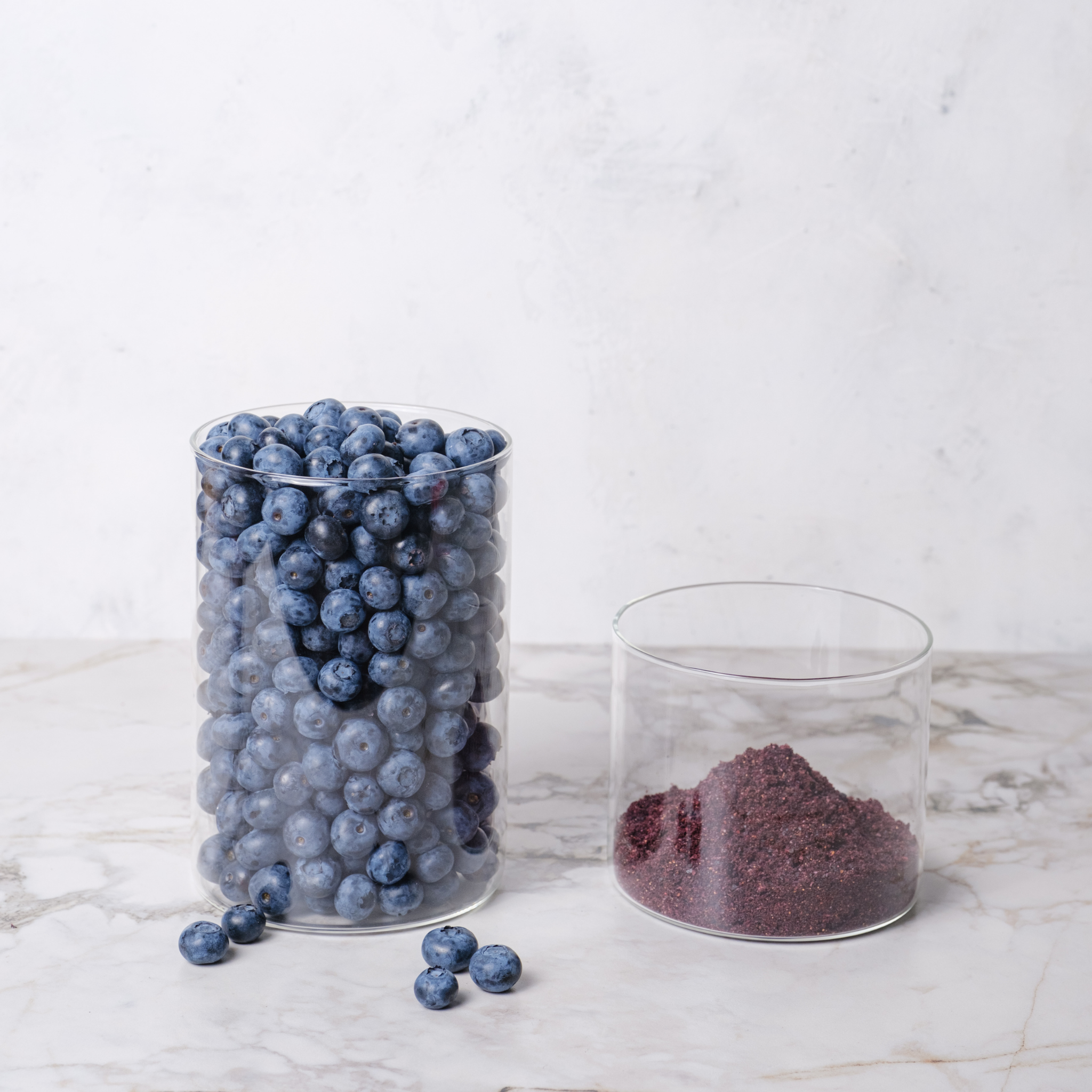 Blueberry Organic Powder (3 Pack)