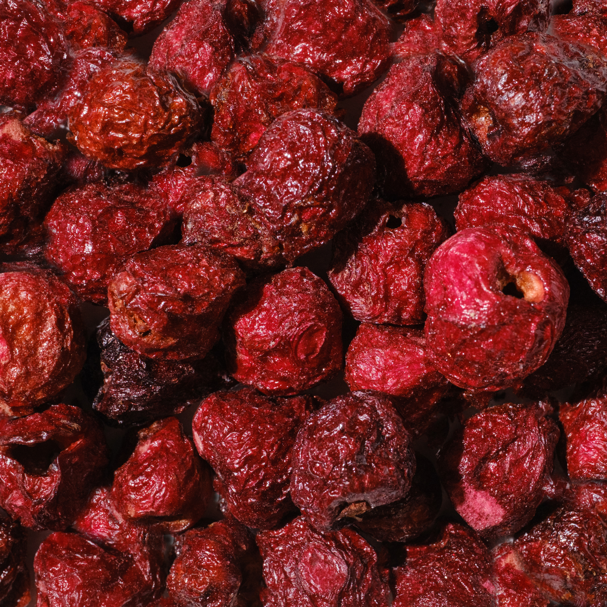 Sweet Sour Cherry – Freeze Dried (4 Pack)